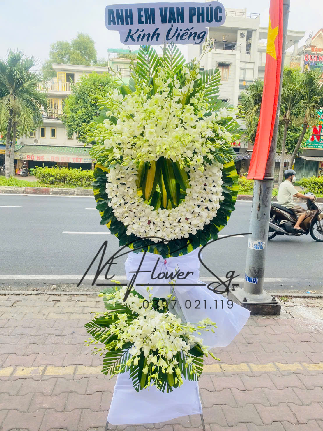 Hoa Tang Truyền Thống HT41